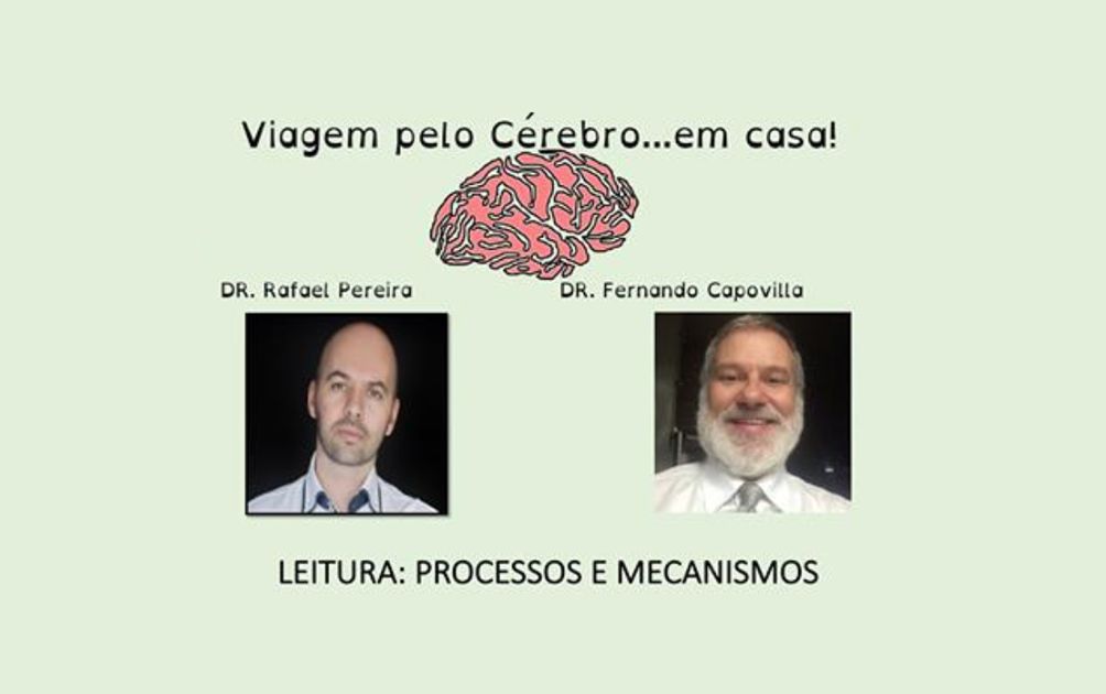 Vídeo: Leitura: Processos e mecanismos