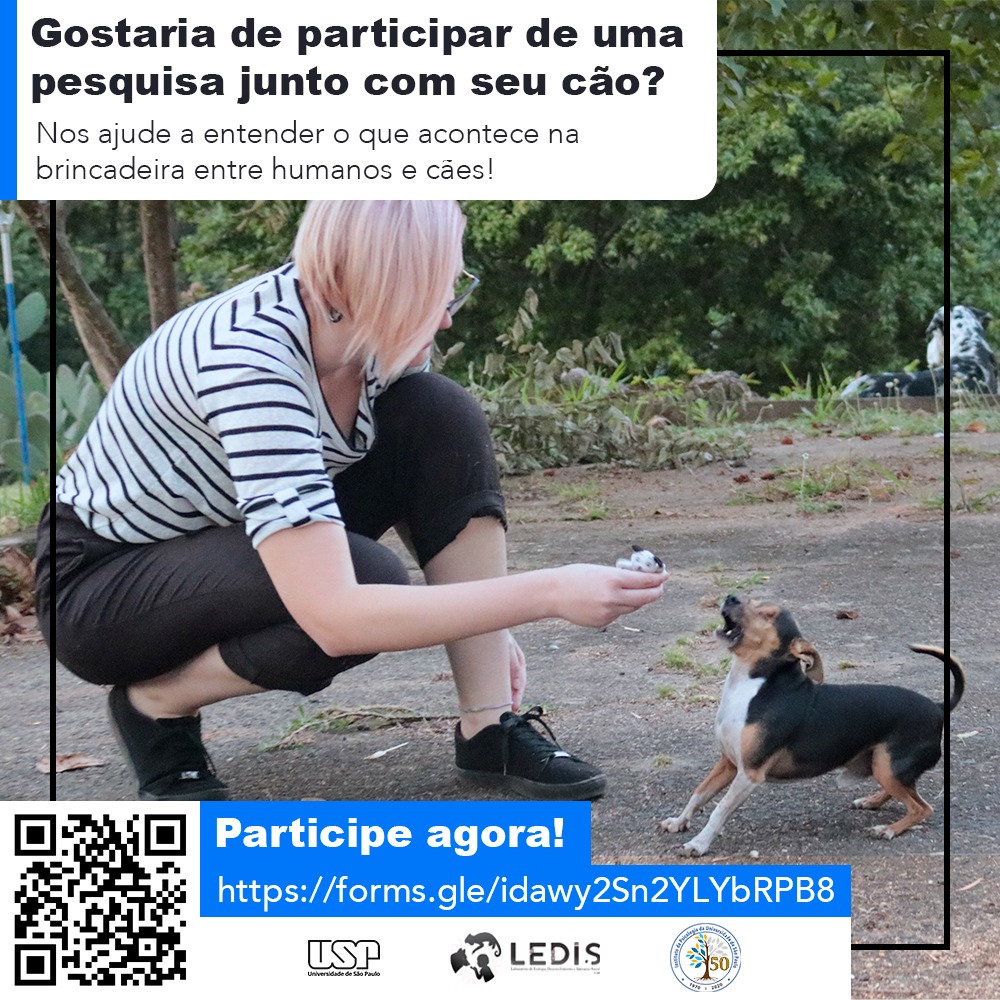 Pesquisa do IPUSP busca voluntários para entender o que acontece durante brincadeiras entre humanos e cães